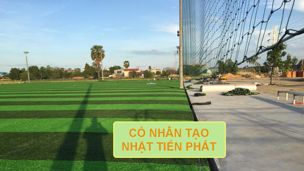 Sân bóng cỏ nhân tạo Triều Anh - Cỏ Nhân Tạo Soladecor - Công Ty TNHH Đầu Tư Và Thương Mại Soladecor